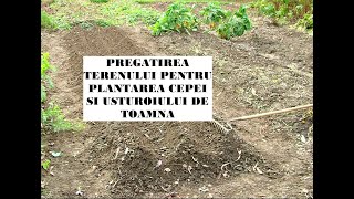 Pregătirea terenului pentru plantarea cepei și usturoiului de toamnă [upl. by Taber]