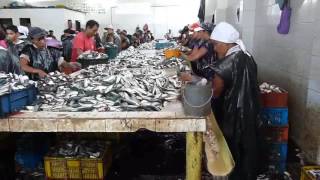 Picadores de sardinas en Guaca municipio Bermúdez estado Sucre Venezuela [upl. by Hershel]