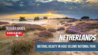 Natural Beauty in Hoge Veluwe National Park A Paradise for Nature Lovers in the Netherlands [upl. by Trudey135]