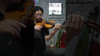 Tipos de Appoggiatura ou Apogiatura  Ornamentos Musicais  Como tocar Apojatura no Violino ou Viola [upl. by Attenov]