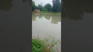 Barsat ka mausamshortshorts video please like and subscribe [upl. by Cerf963]