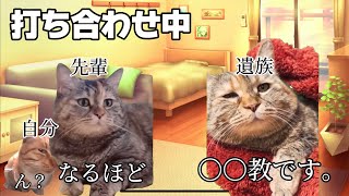 【猫ミーム】僕が葬儀会社に勤めていたころのお話【研修編②】 猫ミーム 猫マニ [upl. by Honeyman679]