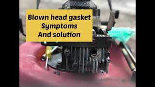 Lawn mower smoking Blown head gasket symptoms and repair [upl. by Lennard]