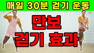 매일 집에서 뱃살빼는 30분 유산소 운동 feat1만보 걷기효과 [upl. by Ramhaj69]