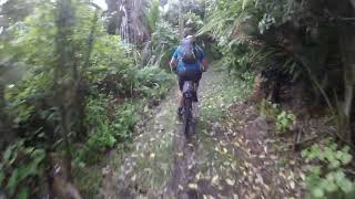 Heaphy Track may 2024 [upl. by Adnylg839]