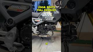 After Market Exhaust 2024 Honda Grom honda hondagrom hondamotorcycles grom exhaust shorts [upl. by Carolyn]