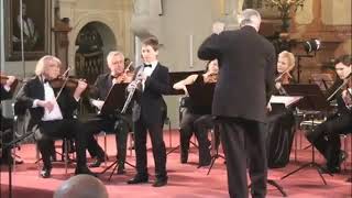 Tomaso Albinoni  Concerto for Oboe D minor Op 9 [upl. by Imis]