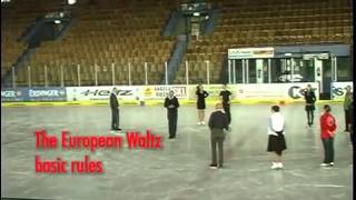 European Waltz  Jimmy Young Ice Dance Course Garmisch 2013 [upl. by Nuoras]