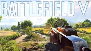 Using the BEST GUNS in Battlefield 5 in ONE Video [upl. by Putnem]