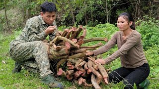 Mr Nghiem and I went to the forest to pick dog blood vines to sell  Buy pork to cook  Lý Thị Thu [upl. by Etnuaed970]