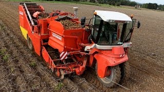 GRIMME SF 15060 and FENDT with JOSKIN  JM Fortemps  Arrachage PDT 2013 [upl. by Thomajan]