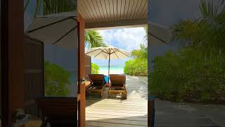 Resort tour  meeru island  Maldives [upl. by Adnawaj]