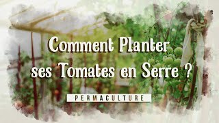 Comment bien planter ses tomates en serre [upl. by Kcirrez937]