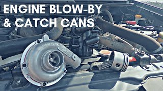 Engine Blow By and Oil Catch Cans  Everything You Need To Know [upl. by Redan]