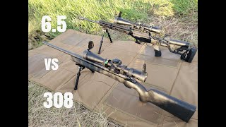 308 vs 65 creedmoor at 1000 yards [upl. by Riebling]