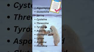 Polar vs NonPolar Amino Acids Natures Yin and Yang aminoacids biochemistry [upl. by Isyed]