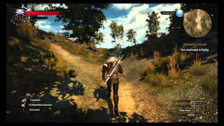 Enhanced Feline Steel Sword Location The Witcher 3 [upl. by Airemahs]