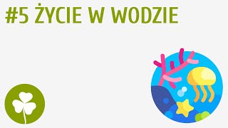 Życie w wodzie 5  Przyroda wokół mnie [upl. by Cynara]