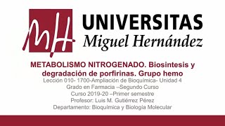 Lec035 Metabolismo nitrogenado Porfirinas umh1700 20192020 [upl. by Eignav]