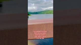 Discover Arrowheads Stunning Beaches Clear Waters amp Relaxing VibesHuntsville Ontario Canada🇨🇦 [upl. by Ydnagrub]