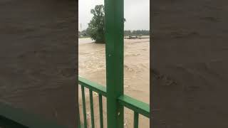 100 jähriges Hochwasser in StPölten Süd  Spratzern lage 927 [upl. by Panaggio640]