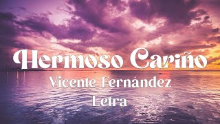 Vicente Fernández  Hermoso Cariño  letra [upl. by Yrallam]