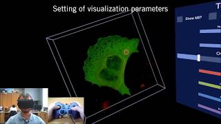 Improved 3D ROI selection for colocalization analysis of fluorescence microscopy samples [upl. by Qidas]