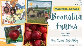 🇵🇭🇨🇦Canada Vlog Strawberry Picking at Boonstra Farms Stonewall Manitoba Petting Zoo amp Train [upl. by Anima840]