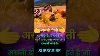 शेर और जेबरा motivation videoviral shorts motivation video27773shorts [upl. by Hogen229]