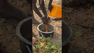 Hadza hunters WASH raw meat before cooking SHOCKING tradition [upl. by Alfons]