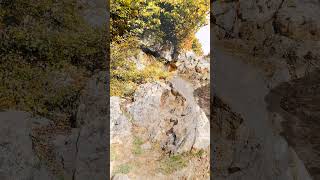 SEE  My travel to lind  part 4 nature oldforest jungle mountains travel birds hiking iran [upl. by Wilen]