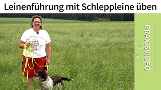 Leinenführigkeit mit der Schleppleine üben ➡️ Praxisvideo ✔️ [upl. by Karol677]