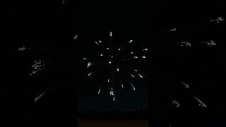 150mm Silver Glitter Delay Stars  Fireworks Simulator [upl. by Grubb942]