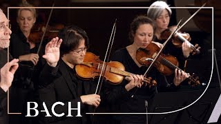 Bach  Cantata Schwingt freudig euch empor BWV 36  Van Veldhoven  Netherlands Bach Society [upl. by Tiny]