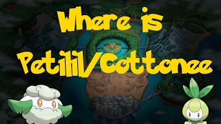 Where Is PetililCottonee Trade Pokemon Pokemon Black 2White 2 [upl. by Teddi452]