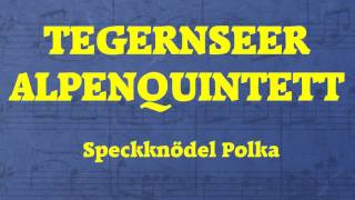 Tegernseer Alpenquintett  Speckknödel Polka [upl. by Sirrep]