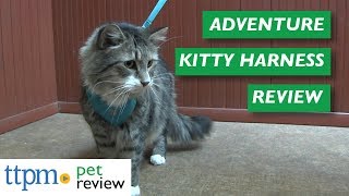 Adventure Kitty Harness from RC Pets [upl. by Algernon]