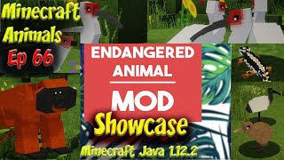 Endangered Animals Mod Animal Showcase 4k 60fps Minecraft Animals Ep66 [upl. by Winfrid]