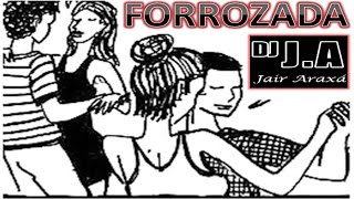 FORROZADA DJ JAIR ARAXA [upl. by Prader760]