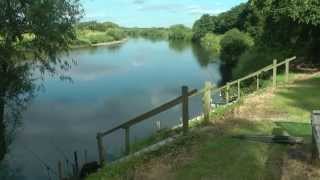 Barbel Fishing 178 Smeatons on the River Trent [upl. by Lindell598]