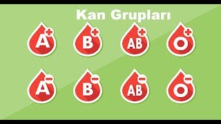 Kan Gruplarının Tespiti [upl. by Obocaj]