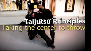 Taijutsu  Enter and Drop [upl. by Ecniuq]