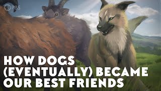 How Dogs Eventually Became Our Best Friends [upl. by Ulani]