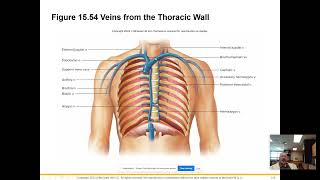 APHY 102 Cardiovascular System Venous Pathways [upl. by Mella]