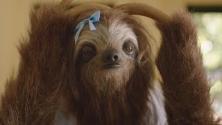 Australian Stoner Sloth Campaign Becomes Viral Joke [upl. by Sudbury]