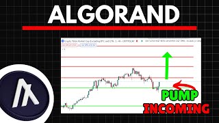 ALGORAND NEW HIGHS INCOMING  Algorand Price Prediction [upl. by Ayinat]