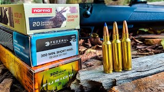 300wsm  AMMO TEST  100 Yard Groups [upl. by Kotz]