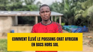 Comment élevé le poisson chat africain Clarias gariepinusen bacs hors sol [upl. by Nani]