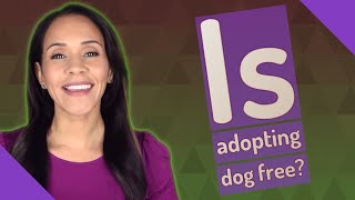 Is adopting dog free [upl. by Sianna]