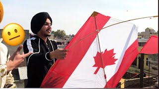 Kites Flying on Basant 2  BIR RAMGARHIA [upl. by Eillehs]